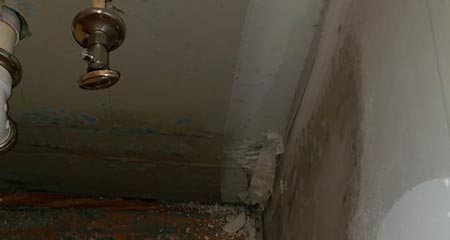 Mold Damage Clean Up And Remediation in Hallandale Beach, 33009