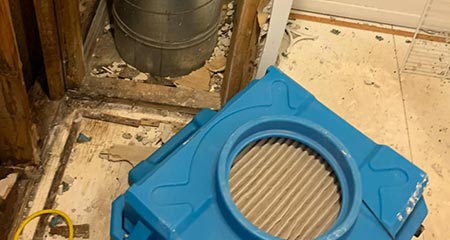Mold And Water Damage Clean Up And Recovery in Hallandale Beach, 33008